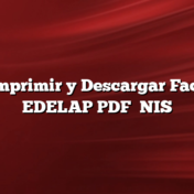 Cómo Imprimir y Descargar Factura de EDELAP PDF    NIS
