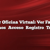 Edesur Oficina Virtual: Ver Facturas    Reclamos    Acceso    Registro    Tramites
